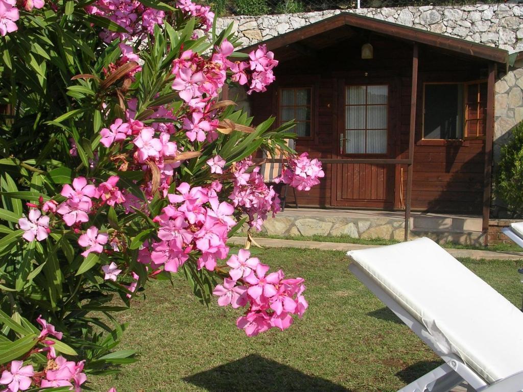 Onur Motel Faralya Buitenkant foto