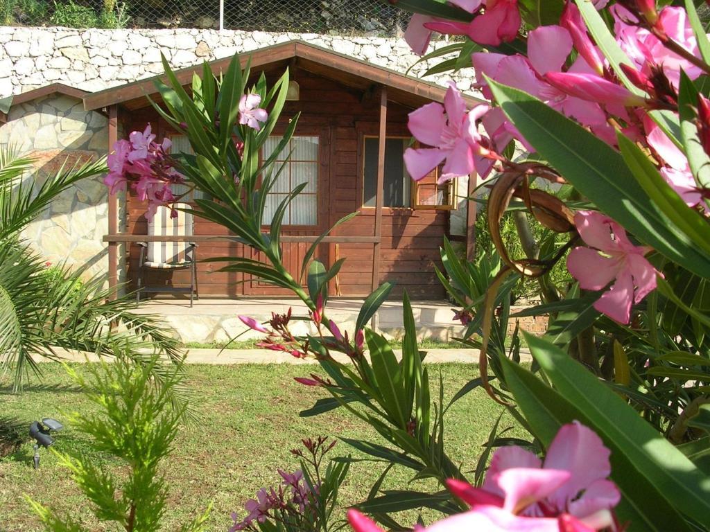 Onur Motel Faralya Buitenkant foto